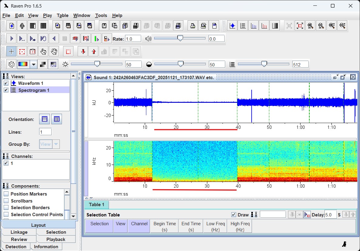 Raven Lite showing two recordings where the gain or microphone
quality was low. We would likely hold this sensor back until
settings that produced similar recordings were
determined.