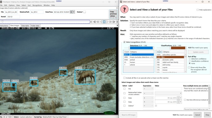 Image recognition workflow