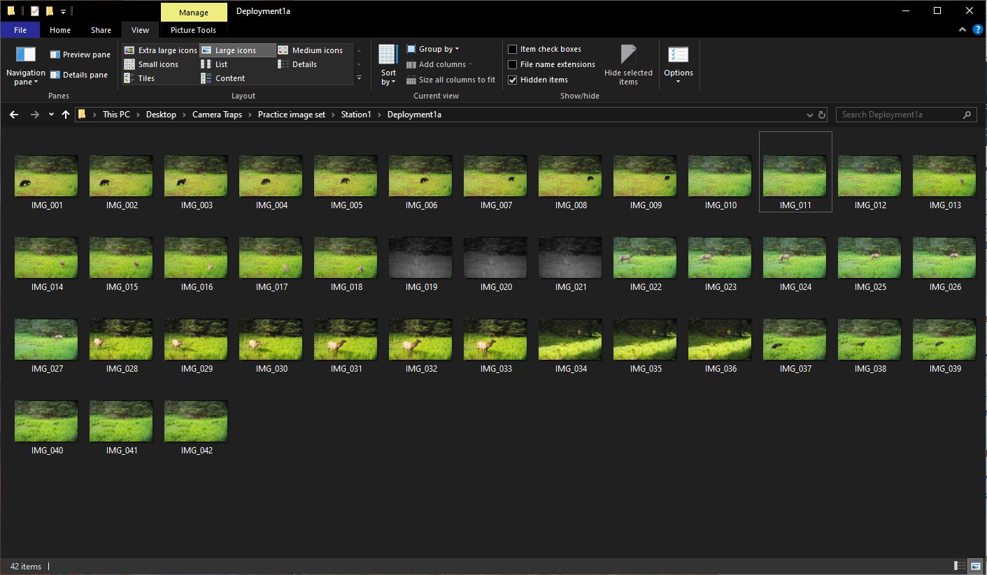Screenshot of imagery organization in the Timelapse practice image set