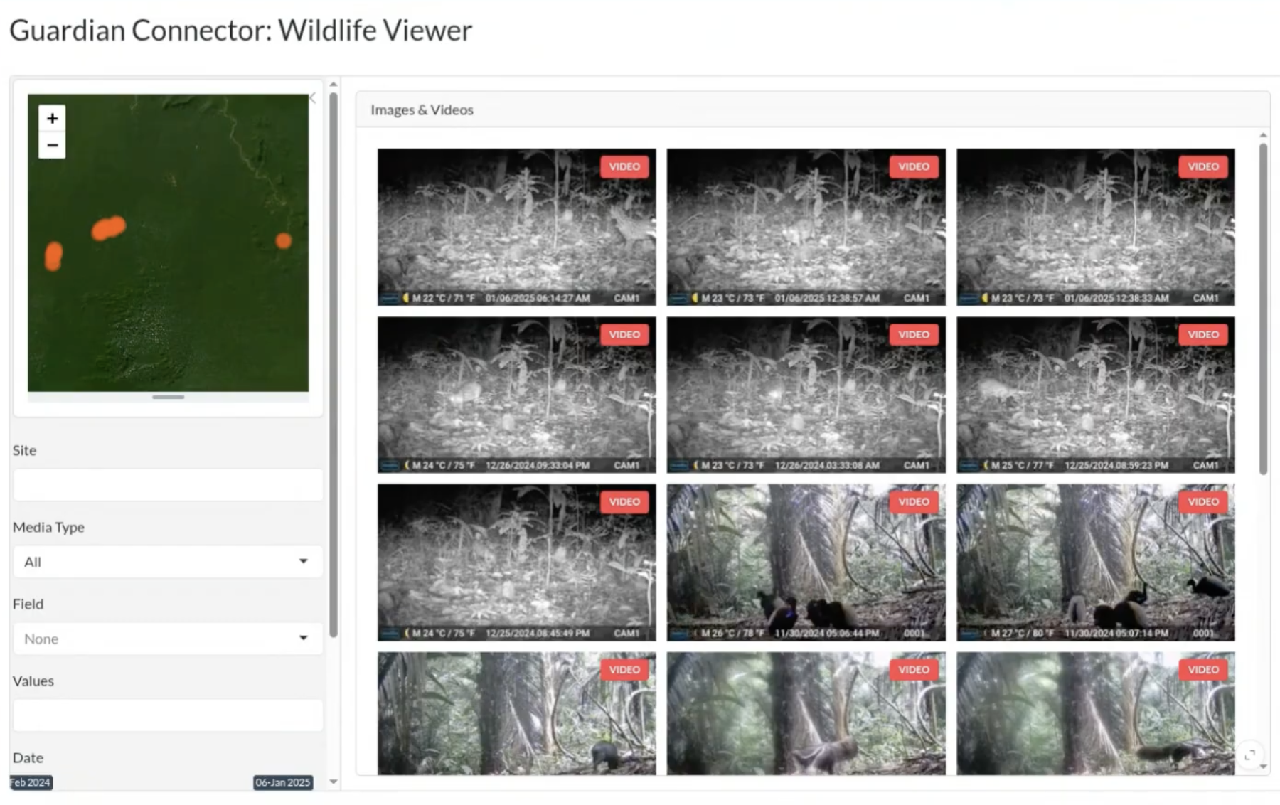 wildlife viewer